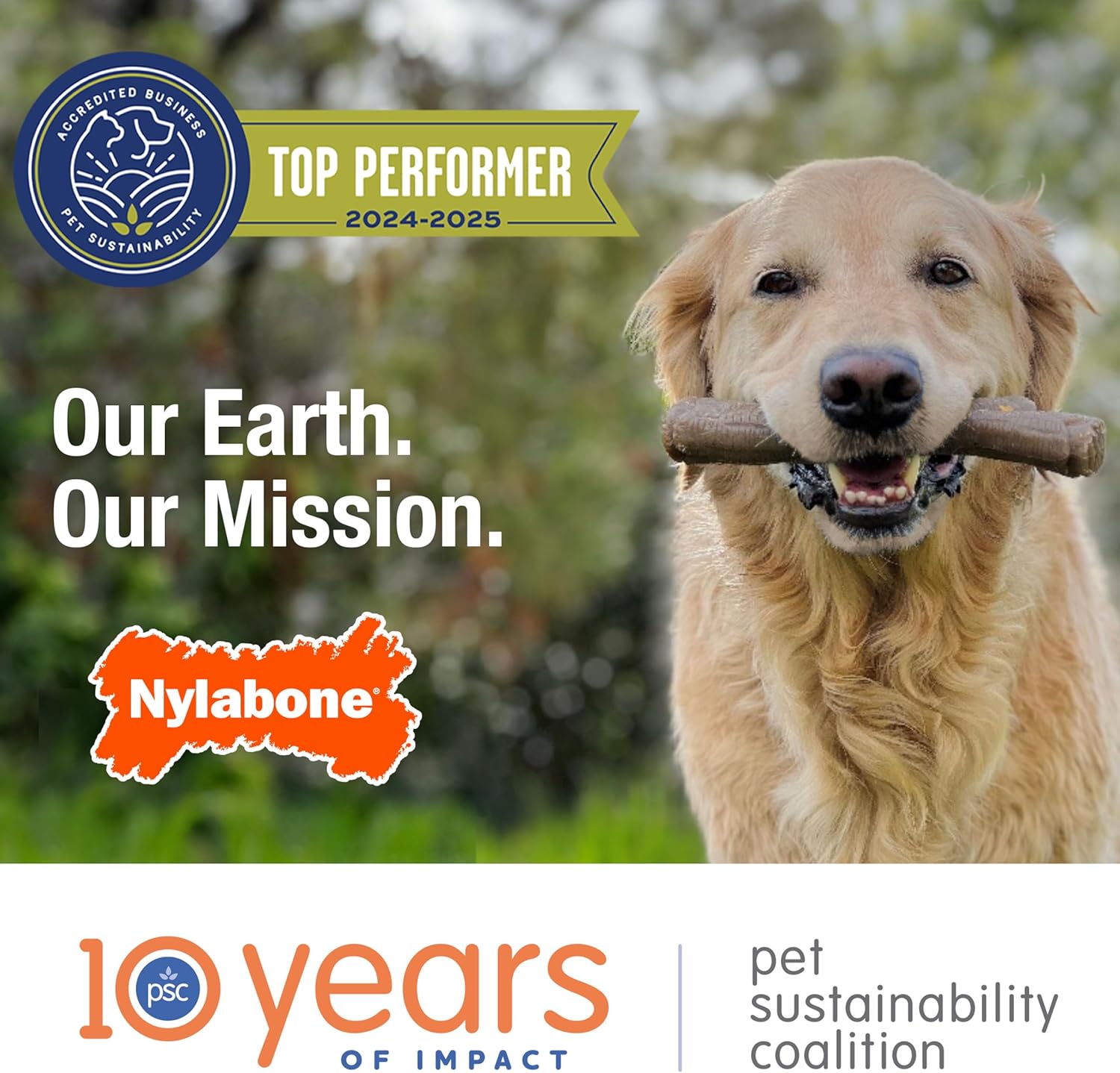 Nylabone Textured Knuckle Bone Power Chew Toy for Dogs, Durable & Tough Dog Toys for Aggressive Chewers, Bacon Flavor, X-Large - 50+ lbs, 1 Count - Image 10